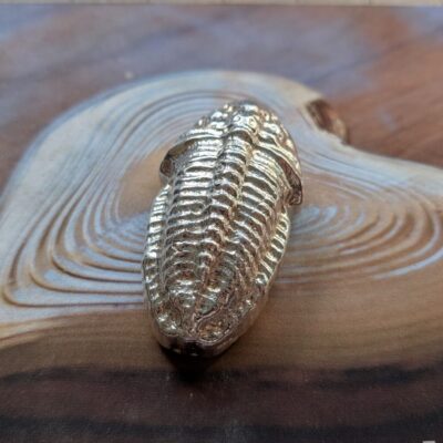 Silver Trilobite 10.88 ozt 999 Fine Silver (Hallmarked 2023)